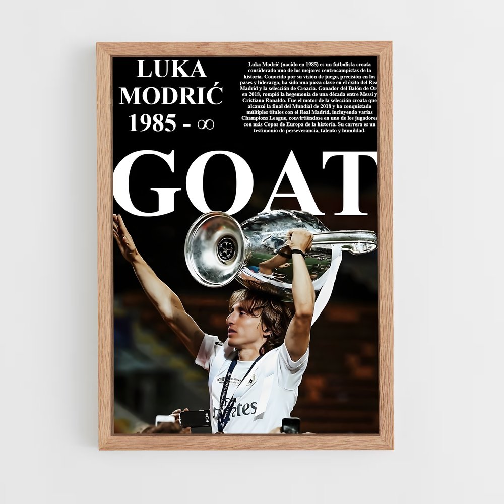 Poster La Gloire de Luka (vue 4)